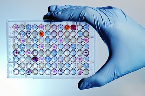 microplate filled with color samples