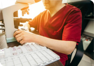 Photo of a pathologist looking at a slide with a microscope.