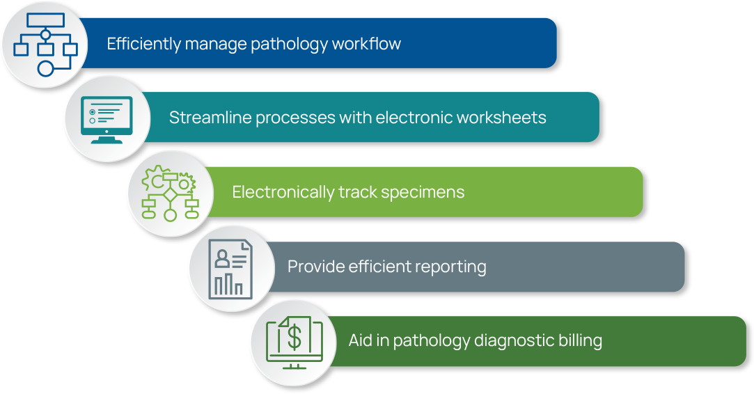 Graphic showing the benefits of APLIS & DPS integration