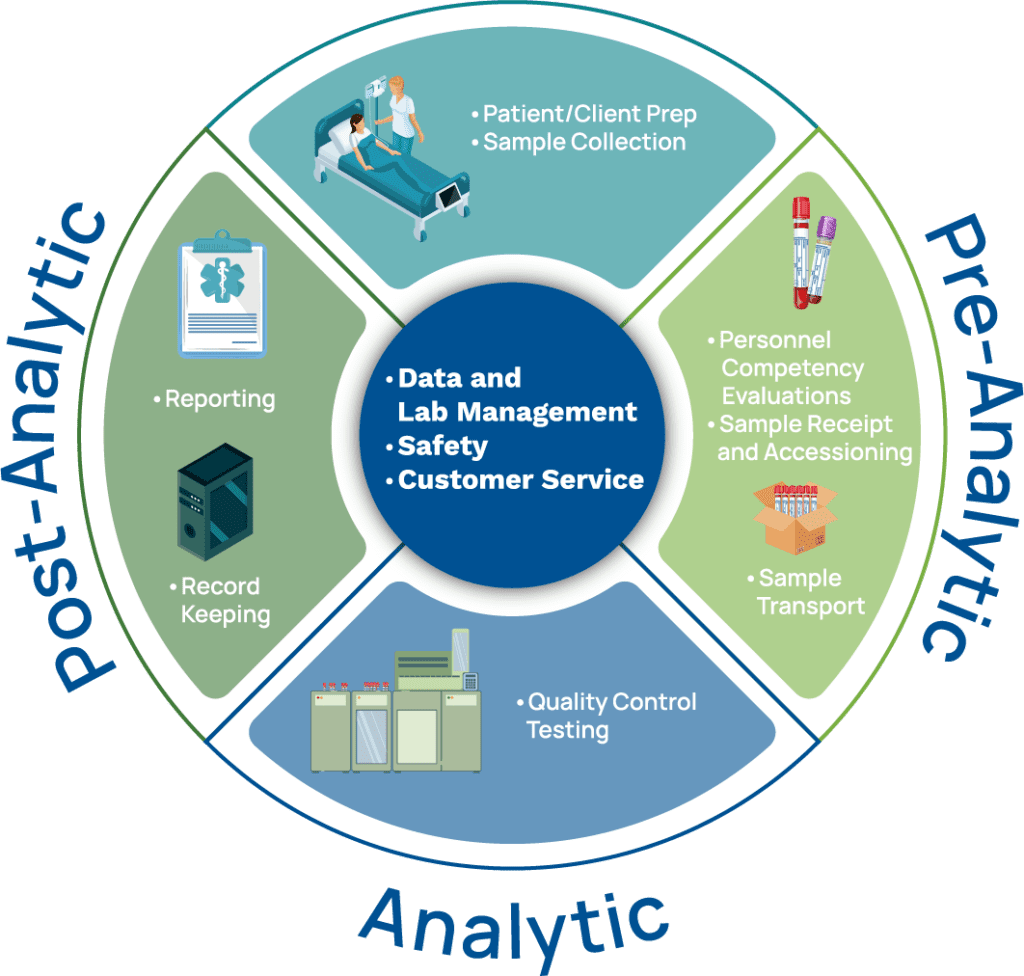 PHL Testing Phases