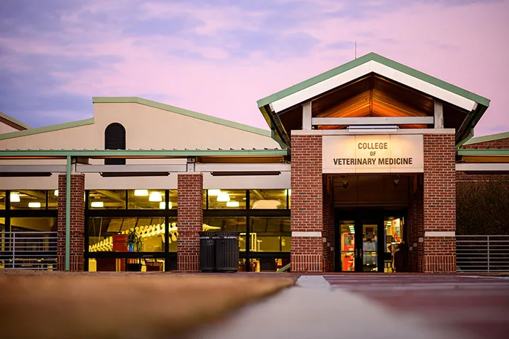 North Carolina State University College of Veterinary Medicine