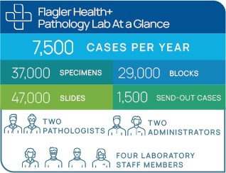 Graphic showing statistics for Flagler Health such as cases per year, specimens analyzed, number of staff members, etc.