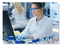 Photo of a laboratory scientist working on the computer