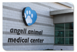 Photo of Angell Animal Medical Center sign on building