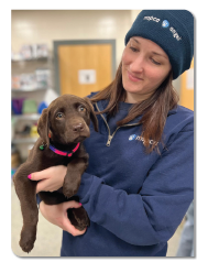 Photo of Angell Animal Medical Center staff member holding a dog