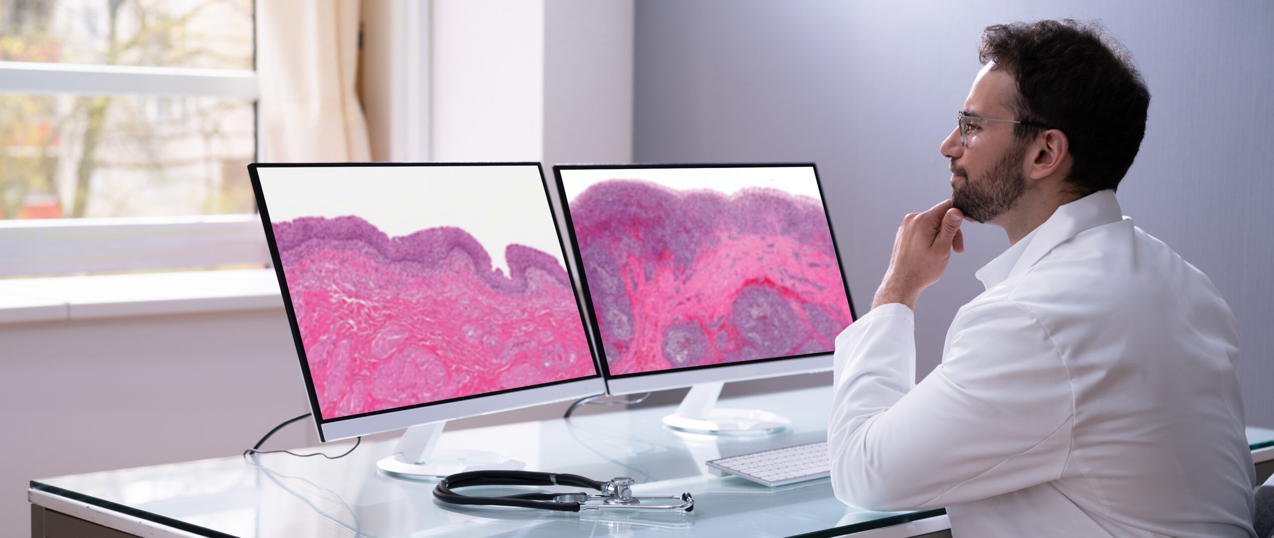 The Growth of Digital Pathology Adoption