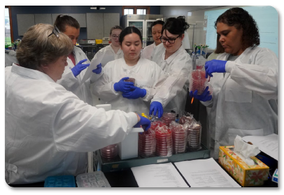 Students learning in a clinical laboratory
