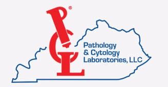 Clinisys Announces Orchard Enterprise – Digital Pathology Go-Live for P&C Labs, LLC